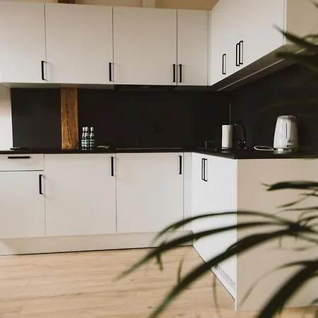 شقة فندقية Apartamenty Leszno